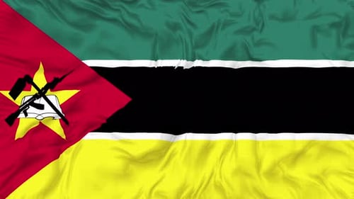 Realistic Waving Mozambique National Flag Animation