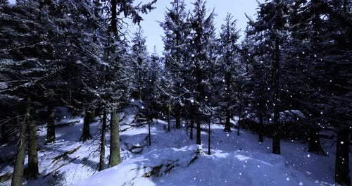 Winter Forest Scene with Gently Falling Snow