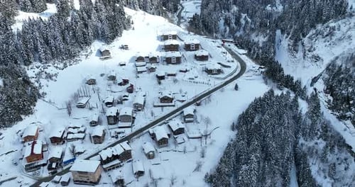 Snowy Trees and Houses – Winter Wonderland Scene