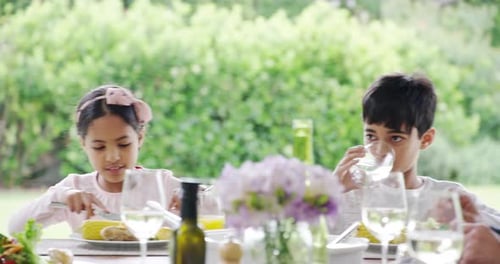 Happy Family Celebrating a Birthday Outdoors