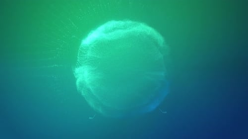 Abstract Animated Globe with Particles on Green-Blue Background