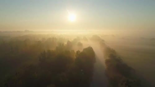 Morning Fog Over the River with the Park
