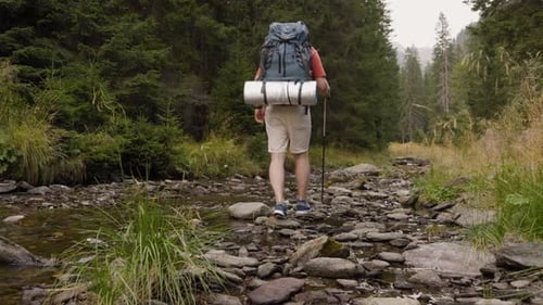 Hiker Walks Across River in Forest