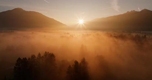 Receding Shot Of Foggy Forest Bathed In Sunrise