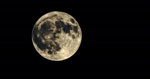 Full Moon Shines Brightly in the Night Sky