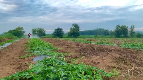 Spraying Crops in a Rural Farm Landscape