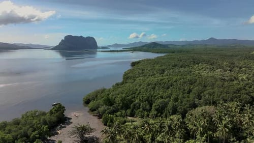 Wild Jungles And Landscapes Of Palawan Island