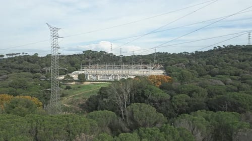 Green, dense vegetation surrounds an electrical substation, which stands out against the backdrop of