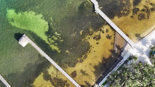 Ascensão de um píer com drone que se estende até as águas do Caribe em Ambergris Caye, Belize