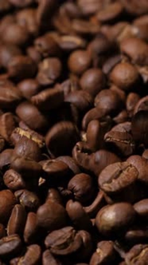 Vertikale Zeitlupe fallender gerösteter Kaffeebohnen Bio-Kaffeesamen.