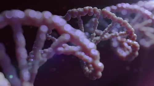 3d dna strand with rna chromosomes at microscope view in the research laboratory 4k
