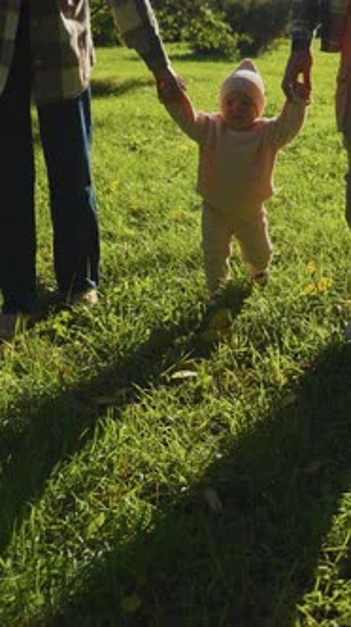 Family Walks in the Park with a Toddler on a Sunny Autumn Day Enjoying Nature's Beauty