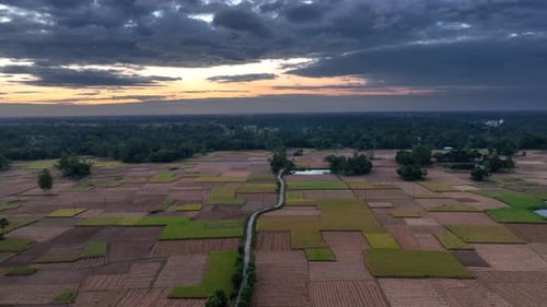Aerial view of agricultural land, Bangladesh.