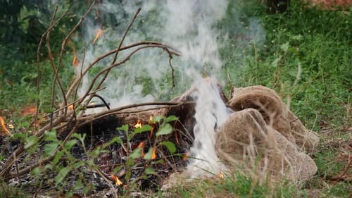 Controlled Fire Burning with Smoke in Rural Setting