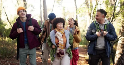 Hiking, group and friends with walking in forest for travel adventure, sightseeing and conversation