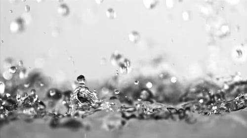 Abstract Water Droplets Splashing in Black and White