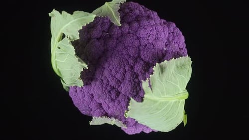 Close-Up of Vibrant Purple Cauliflower on Black Background