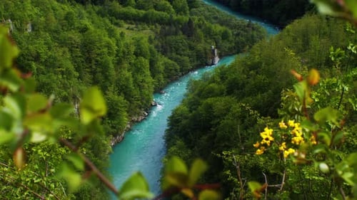 View on a calm turquoise mountain river Tara canyon and Tara river in Montenegro