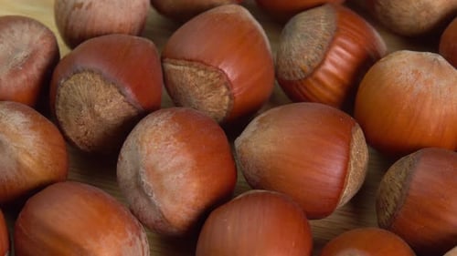 Hazelnuts in shells rotate on wooden background close up. Whole and shelled organic hazelnuts
