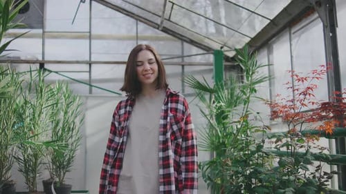 A Beautiful Young Woman Walks Through a Plant Store and Chooses Flowers Beautiful Greenhouse in the