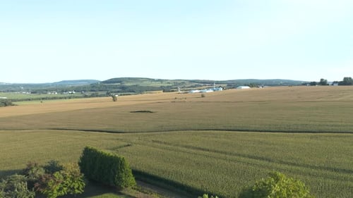 Drone coming down behind trees in an agricultural field
