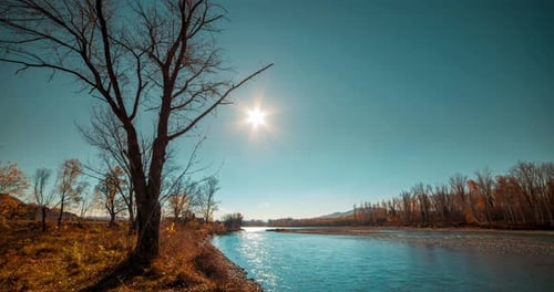 Mountain River Timelapse at the Summer or Autumn Day Time Wild Nature Clear Blue Water and Dry Trees