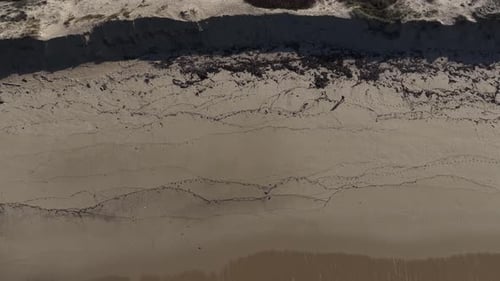 Vue aérienne d'un randonneur marchant sur la plage de la côte portugaise.