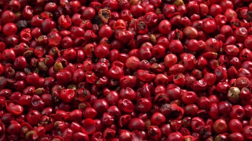 Pink peppercorns or himalayan red pepper berries rotating background closeup top view side light