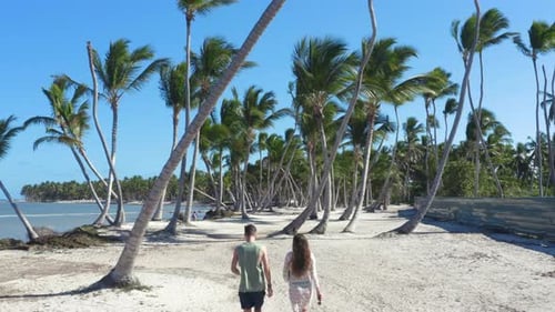 Backside shot of young couple walking on tropical palm beach in breeze.
