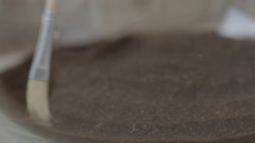 Une jeune botaniste crée un minuscule écosystème de forêt vivante dans un terrarium en verre, nivelant ainsi le sol