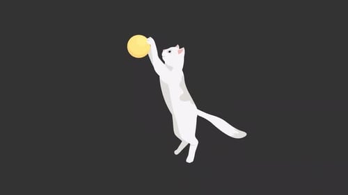 Flat Design Animated Cat Playing with Ball