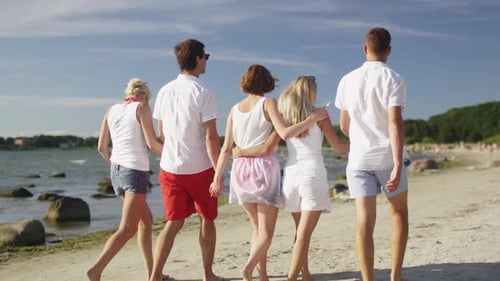 Group of Friends are Walking on Beach at Sunny Day.