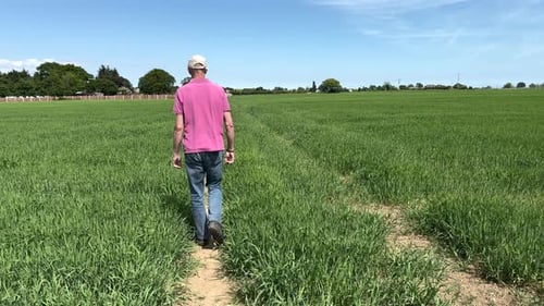 Man walking through grass meadow