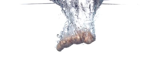 Ginger Root Splashing Into Water, Slow Motion