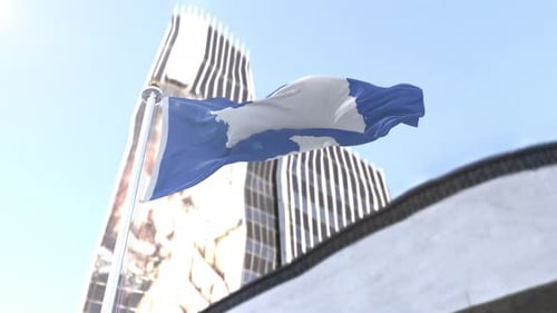 Antarctica Flag Loop 4K