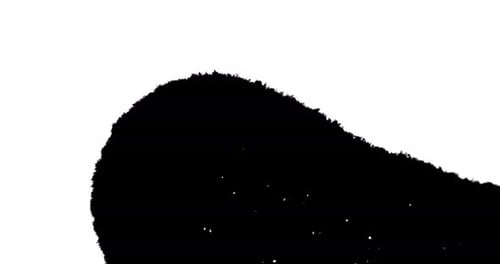 Black Ink Blot Spreading on White Background