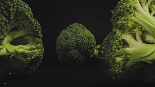 Broccoli Florets on Black Background