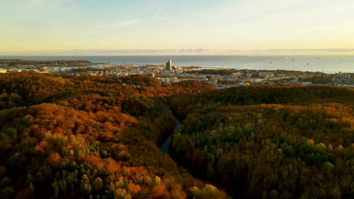 Forêt colorée luxuriante au lever du soleil pendant la saison automnale à Gdynia, en Pologne. aérien