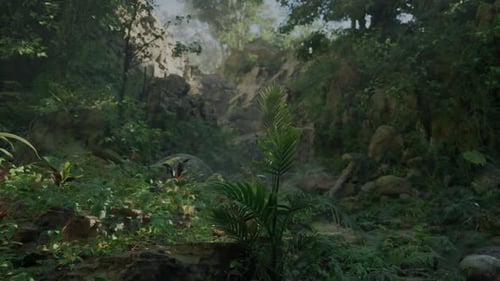 A Lush Green Forest Filled with Lots of Trees Mountain Path