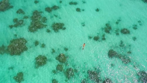 Aerial Drone Quadcopter of Young Woman Snorkeling,exploring Tropical Reef and Swimming