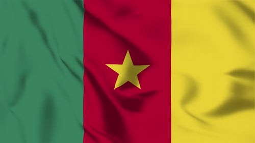 Cameroon Flag Waving Loop Animation