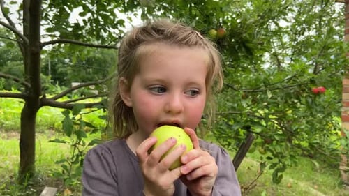 Ein kleines Mädchen pflückt einen Apfel im Garten und isst ihn. Porträt eines Kindes