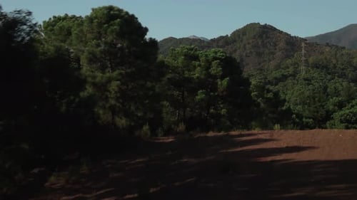 Aerial reveal of forest and mountains view