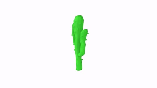 Stylized Green Cactus Illustration