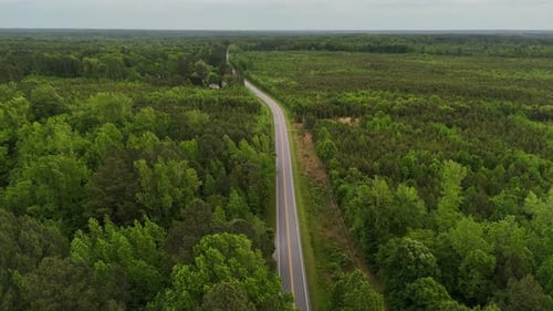Scenic Aerial View of a Road Winding Through Lush Green Forest