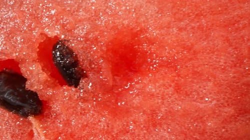 Watermelon in macro video