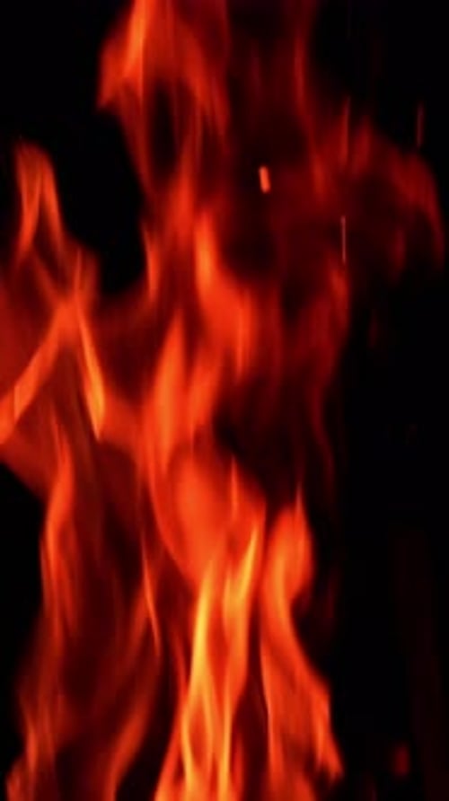 Fire flames burning and going up. Close up. Black backdrop. Vertical video