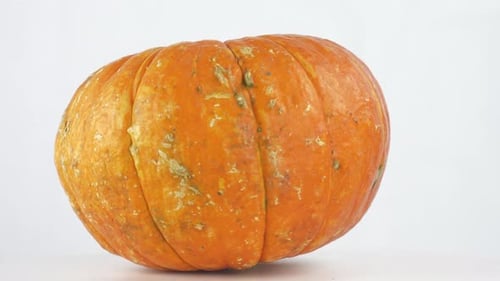 Großer reifer Kürbis