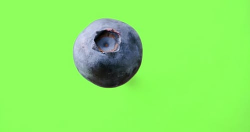 A blueberry rotating clockwise in the air before a green background. shot with greenscreen backgroun