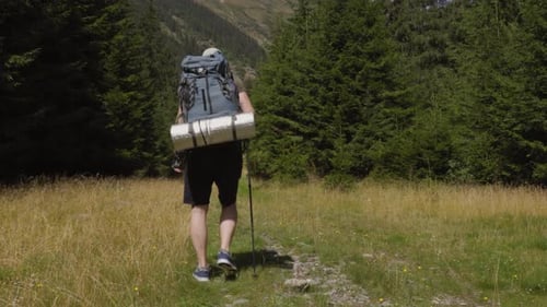 Unrecognizable Traveler with Backpack Trekking Stick Walking in Forest in Daylight